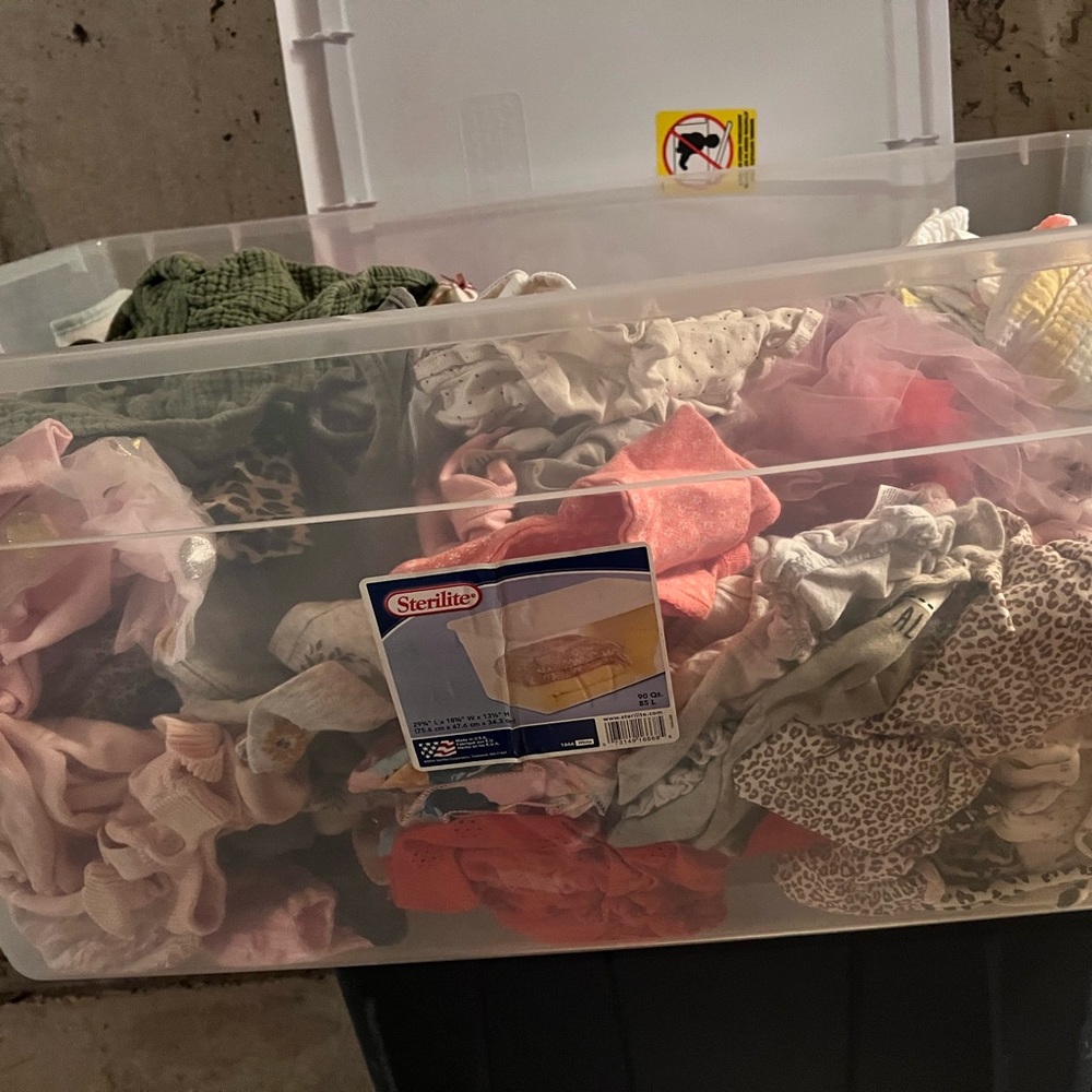 Baby girl clothing bundle